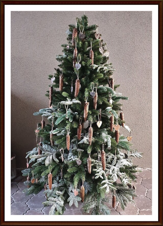 コレヴ アパートメンツ