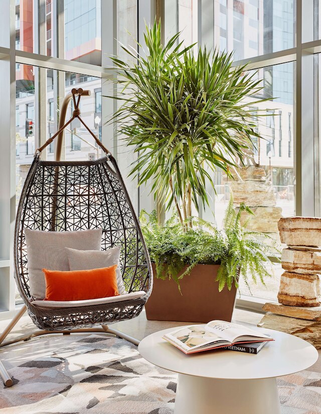 キャノピ バイ ヒルトン テンペ ダウンタウン