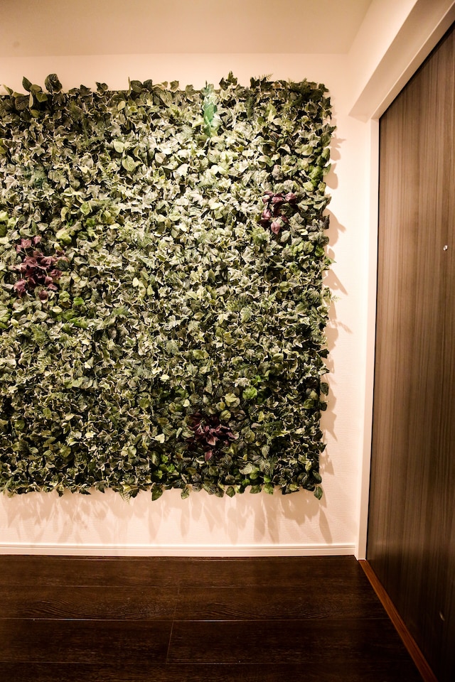 Summer Lotus House Osaka