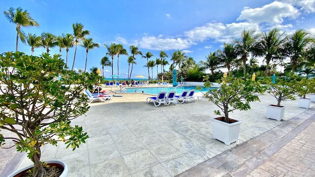 シーコースト バイ マイアミ アンバサダーズ