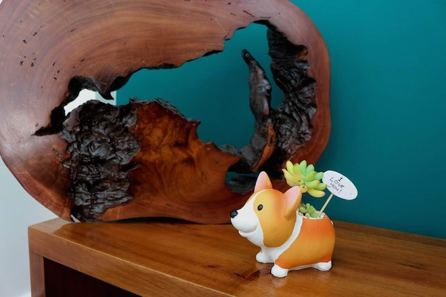 スターフルーツ ヴィラ