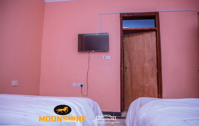 ムーンシャイン ウォーカーズ