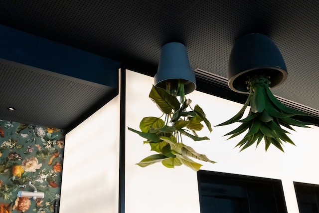 シック＆ベーシック・グラビティ