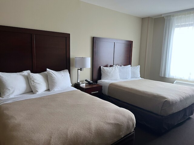 ロータス ブルー イン & スイーツ