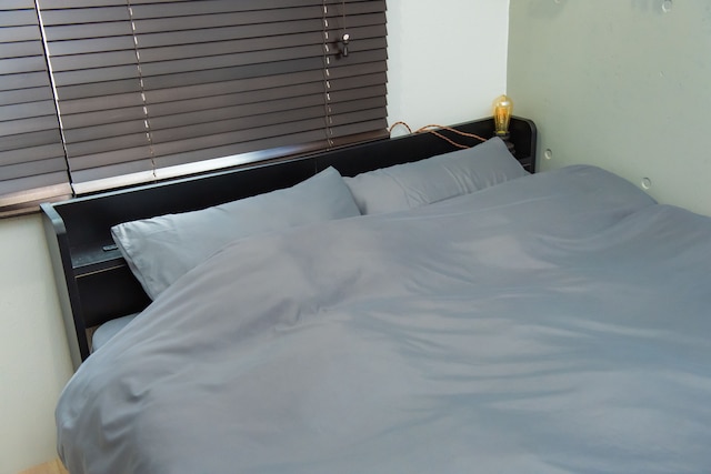 JR Komagome Apartment 1-3