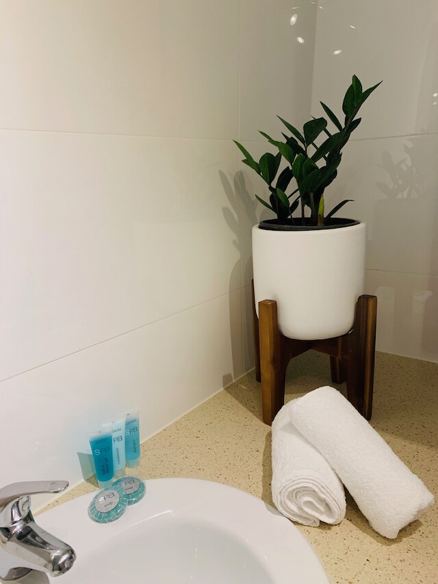 ザ リトル ダーリング オブ ザ ハーバー