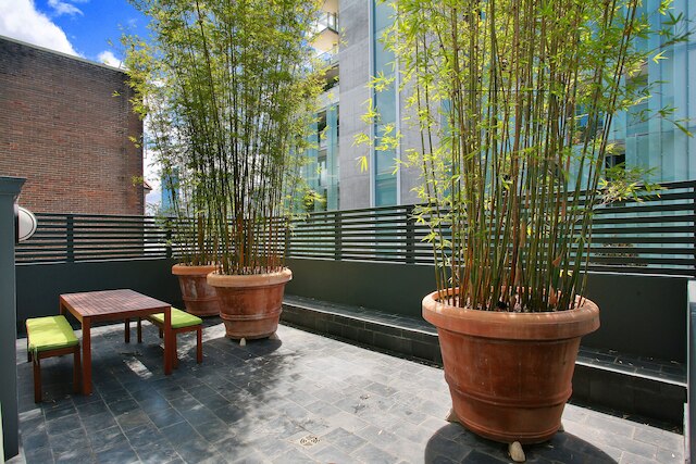 ザ コートヤード オブ セント ネオト