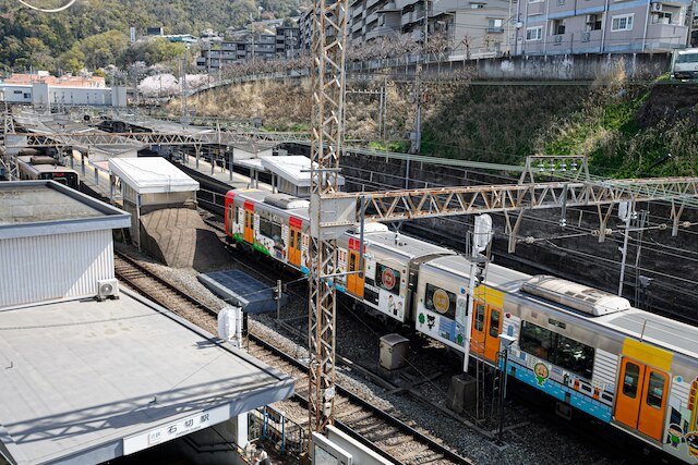 ゲストハウス街路樹