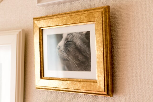 Lions apartment Shinjuku Gyoen 1002