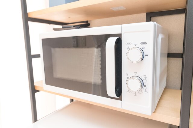 Lions apartment Shinjuku Gyoen 1002