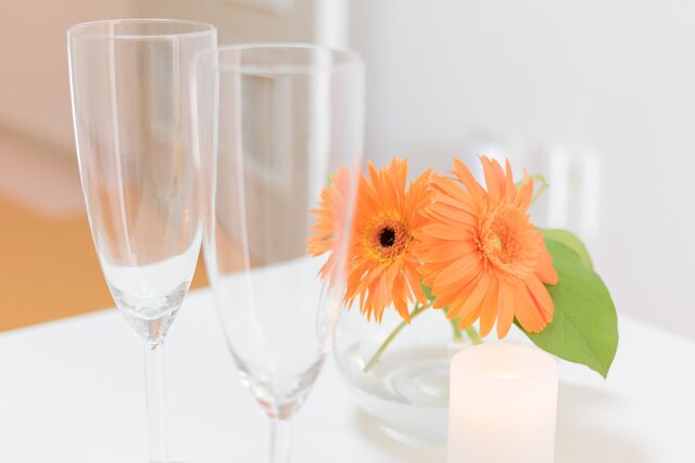 Lions apartment Shinjuku Gyoen 1002