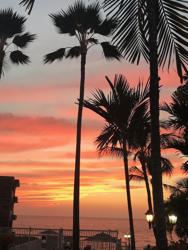 コナ ショアーズ O.203