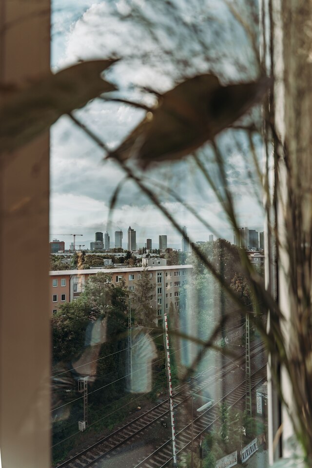 ザ ブラスキー フランクフルト