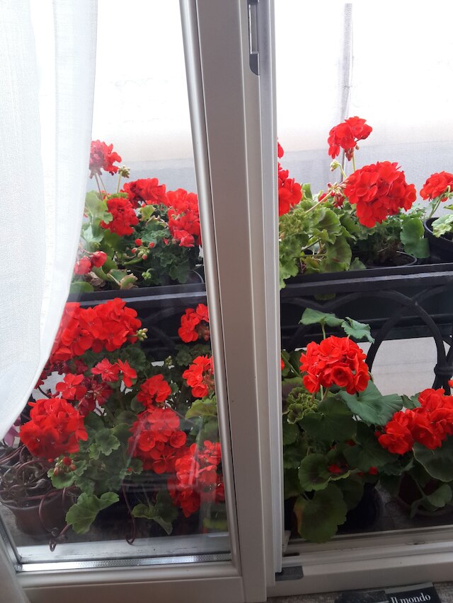 B&B ア レ ボテーゲ