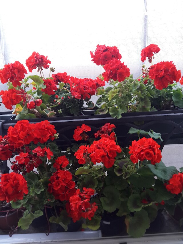 B&B ア レ ボテーゲ