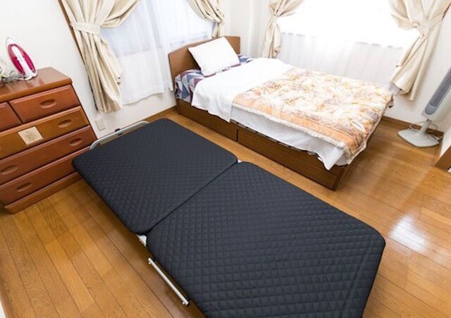 Centrally Located Deluxe Furnished.1