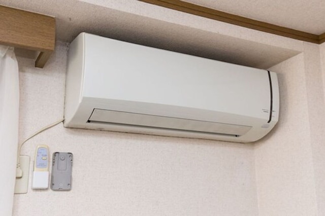 Centrally Located Deluxe Furnished.4