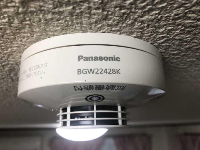 Centrally Located Deluxe Furnished.4