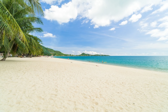 リッチ リゾート ビーチサイド ホテル