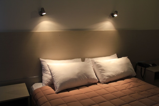 オークランド エアポート キーウィー モーテル