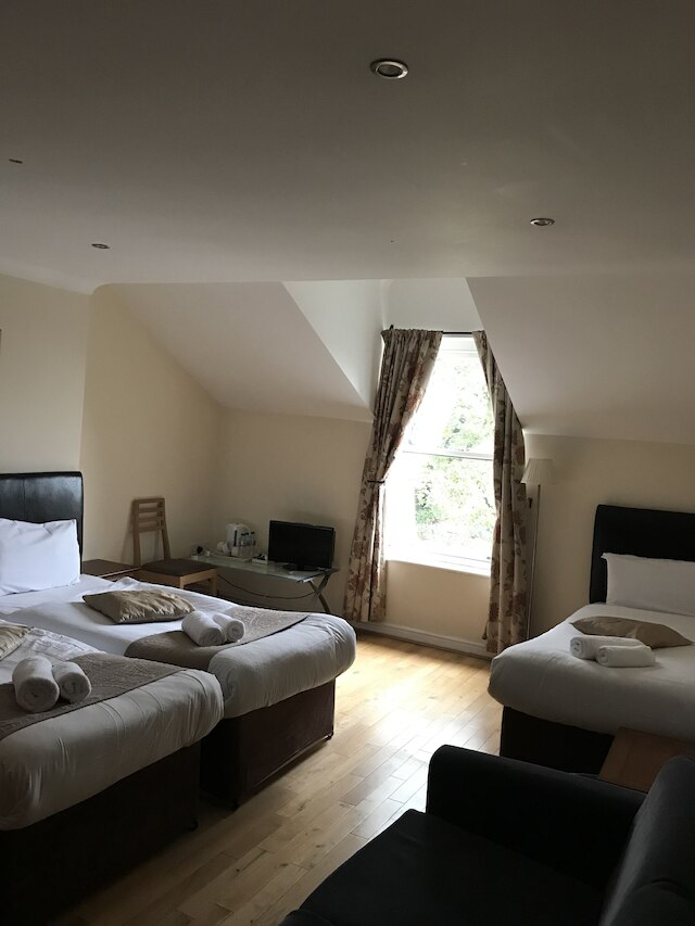 シェイル スイーツ