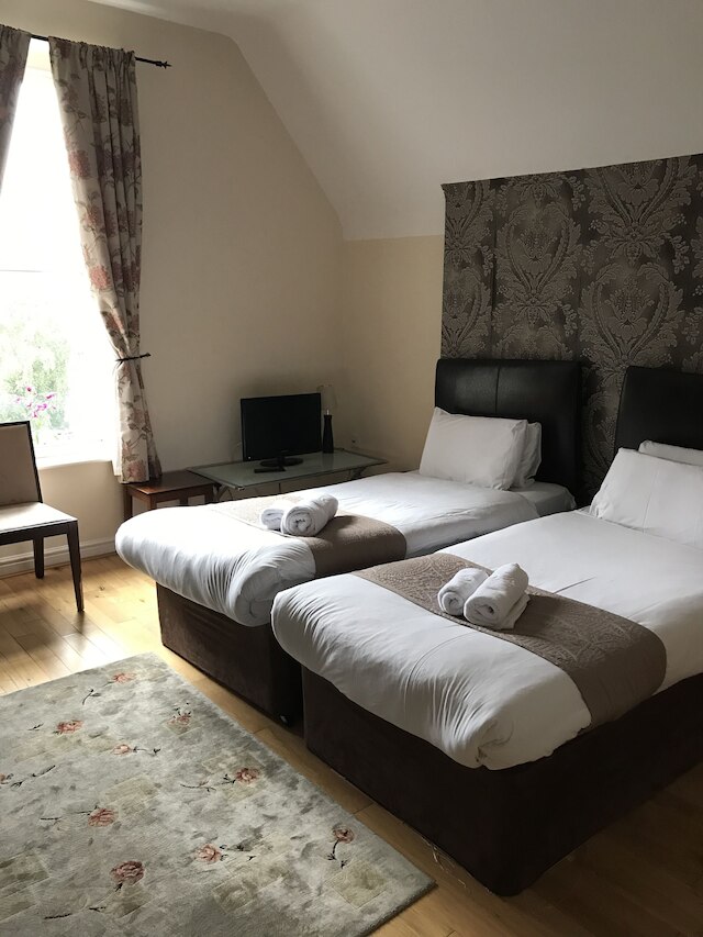 シェイル スイーツ