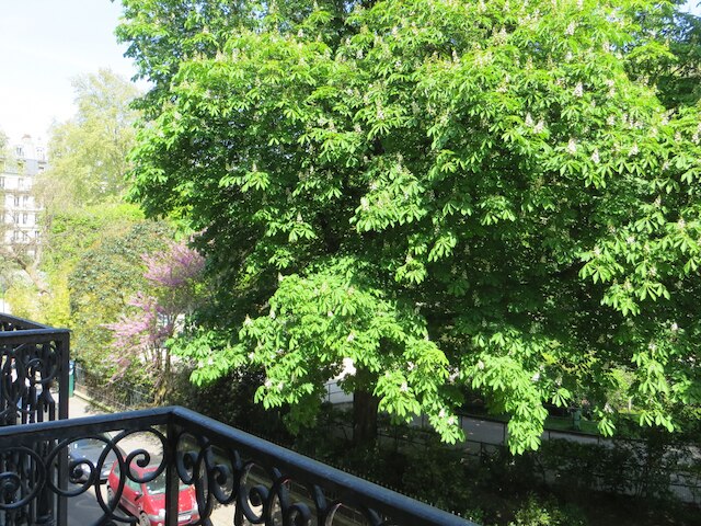 ガルデット パーク ホテル