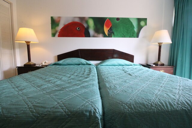 エコ・リゾート・イン