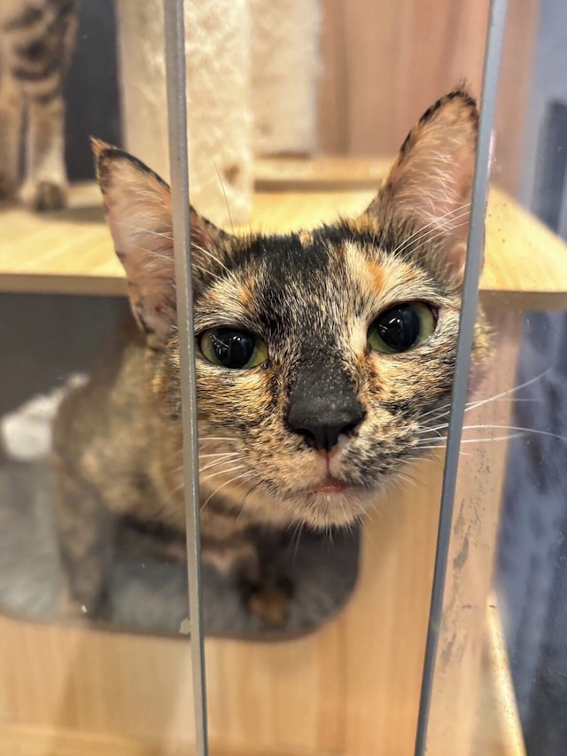 ダーシン ホテル (大欣大飯店)