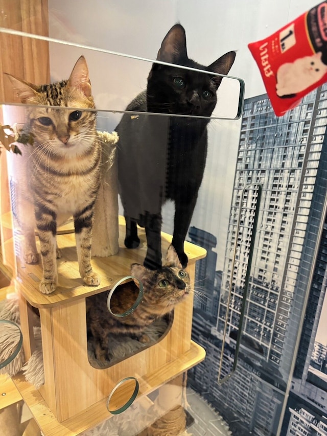 ダーシン ホテル (大欣大飯店)