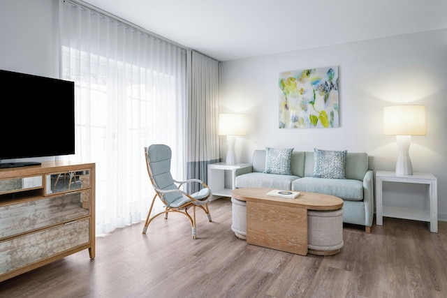 マリオット バケーション クラブ、サウスビーチ