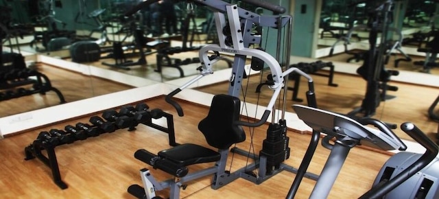 ザ シェヴロン オーチャード