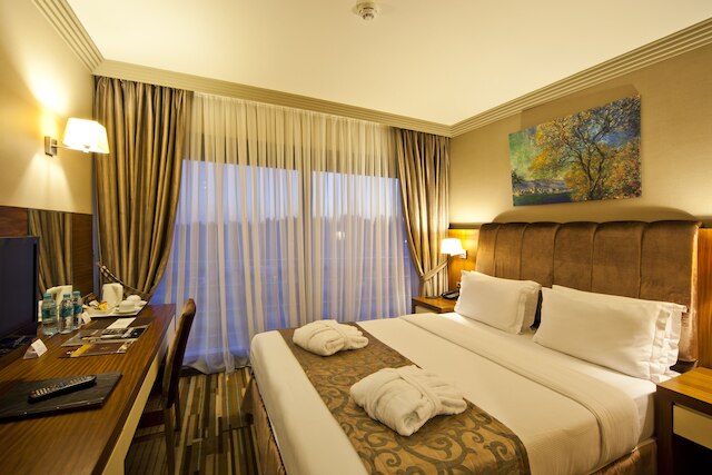 ボレー ホテル イスタンブール