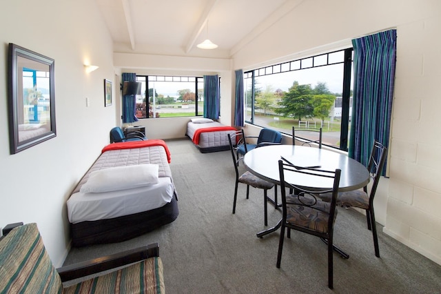 アンバサダー サーマル モーテル