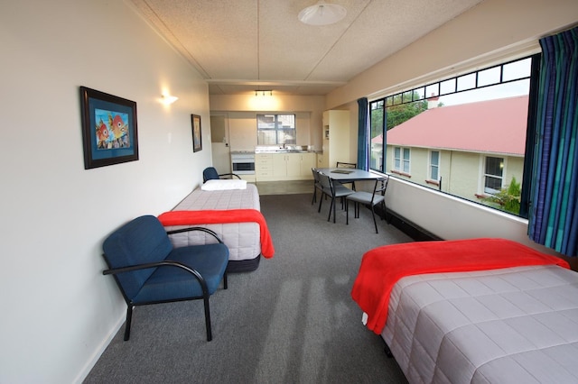 アンバサダー サーマル モーテル