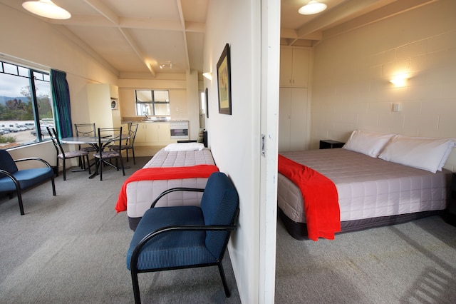 アンバサダー サーマル モーテル