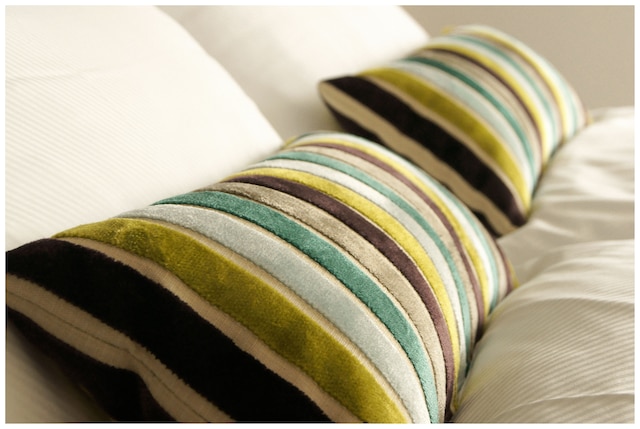 プラッツヒルシュ チューリッヒ - ダウンタウン ブティック ホテル & スシ ラウンジ