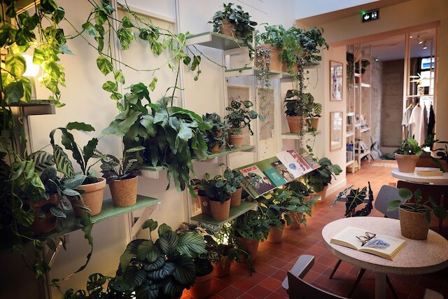 フランス セオリー