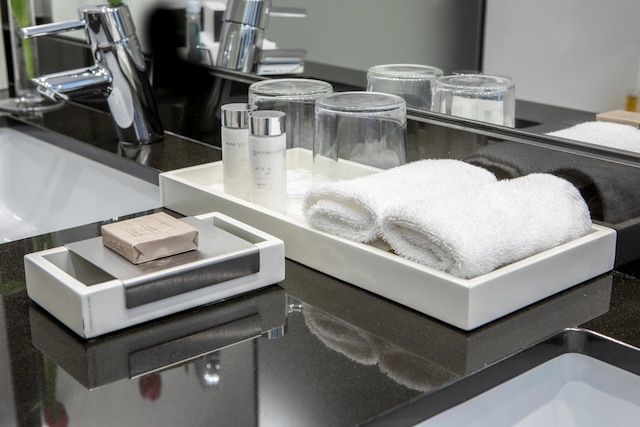 インターコンチネンタル ポルト - パラシオ ダス カルドサス by IHG