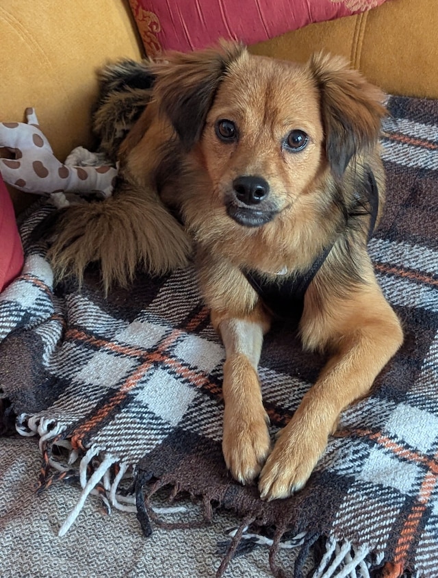 ホテル ヴィクトル ユーゴー