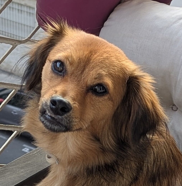 ホテル ヴィクトル ユーゴー