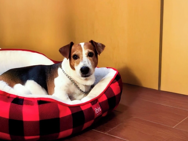 イビス カンクン セントロ