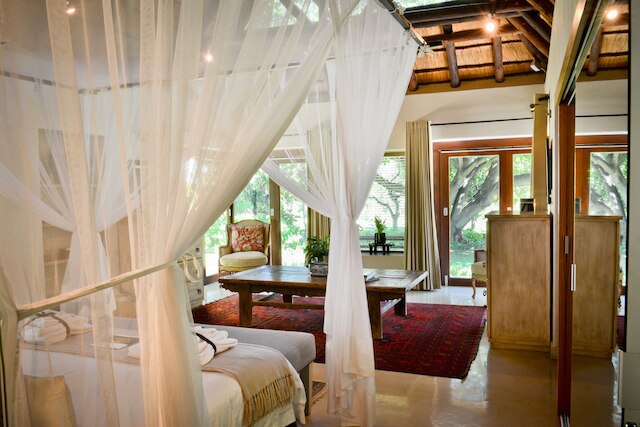 カヤ ンドロブ  サファリ マナー