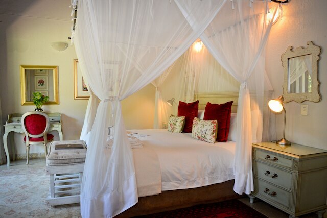 カヤ ンドロブ  サファリ マナー