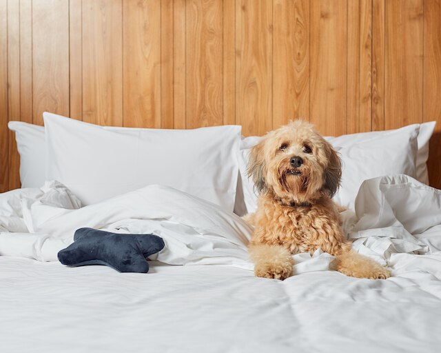 プルマン リマ サン イシドロ