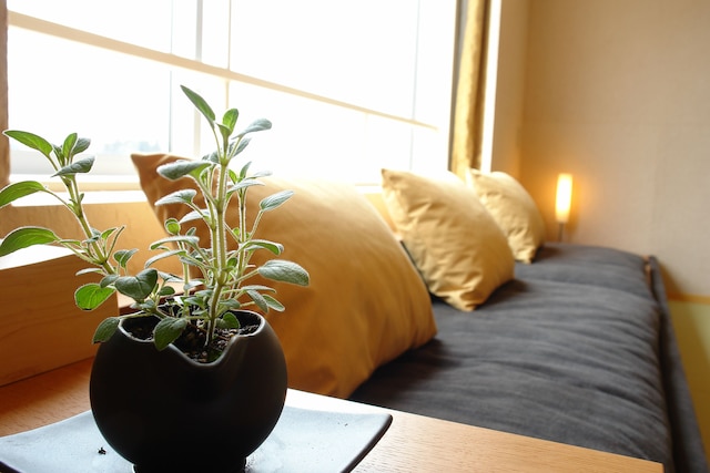 本陣平野屋 花兆庵