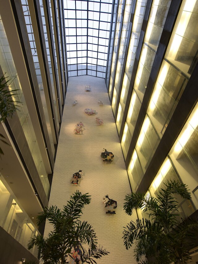 スイス ベリン メダン