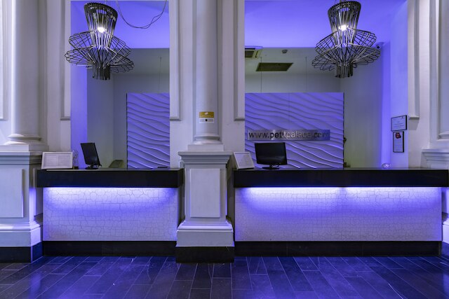 プチ パレス サボイ アルフォンソ XII