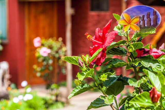 ケウヘヌア ホスタル