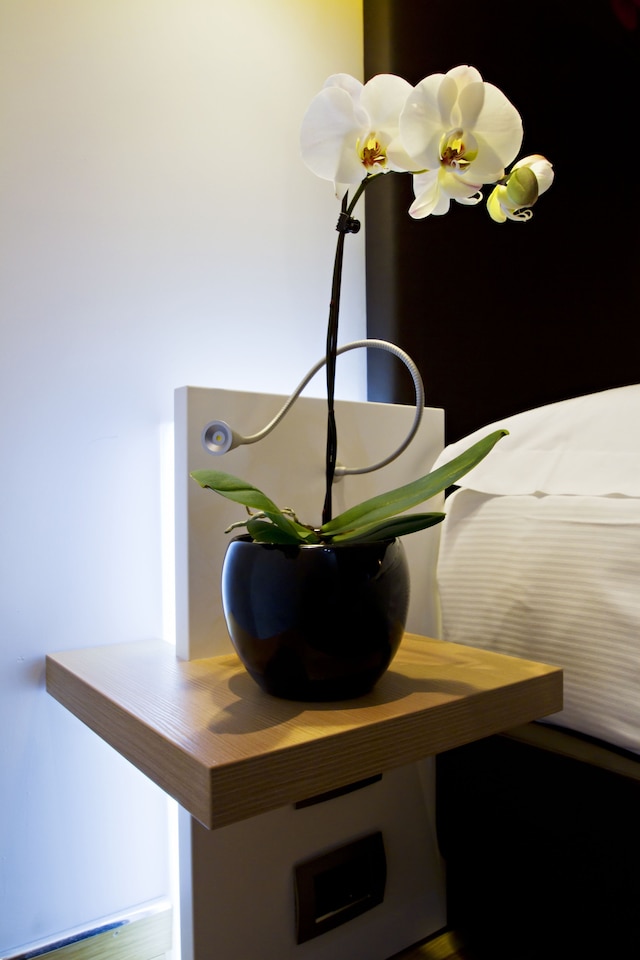 ホテル グラヴィーナ サン ピエトロ